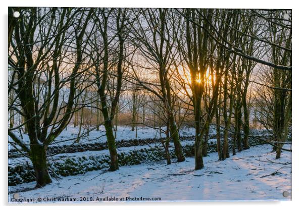 Peak District | Winter trees in Castleton Acrylic by Chris Warham