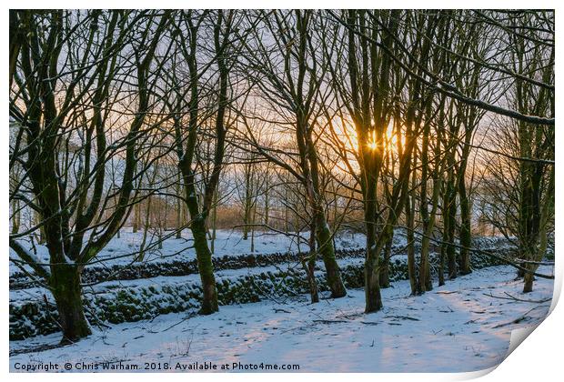 Peak District | Winter trees in Castleton Print by Chris Warham