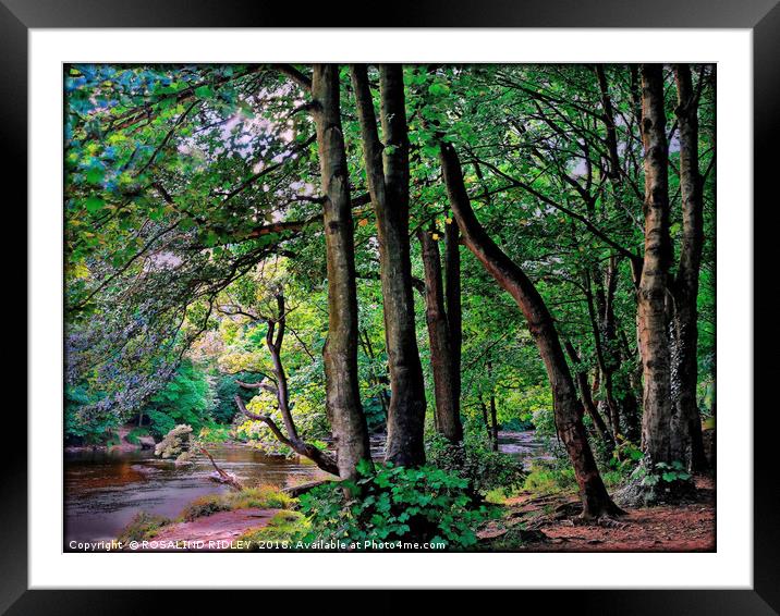 "Tranquility" Framed Mounted Print by ROS RIDLEY