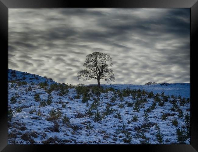 Winter sky, lone tree on a hill Framed Print by yvonne & paul carroll