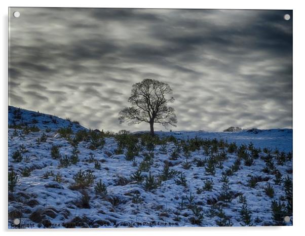 Winter sky, lone tree on a hill Acrylic by yvonne & paul carroll