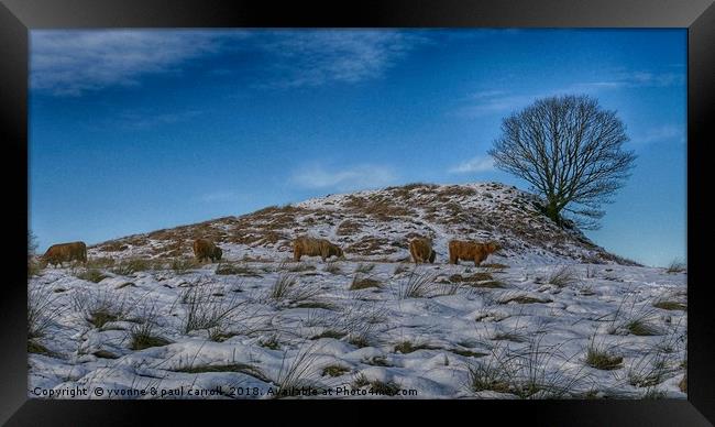 Highland cattle under lone tree in the snow Framed Print by yvonne & paul carroll