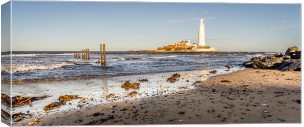 Sunny January  at St. Marys Canvas Print by Naylor's Photography