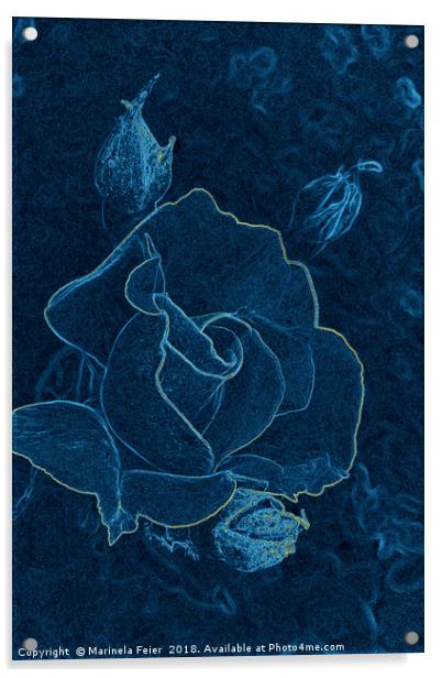 blue rose contour Acrylic by Marinela Feier