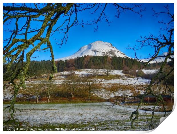 Dumgoyne hill framed by tree branches Print by yvonne & paul carroll