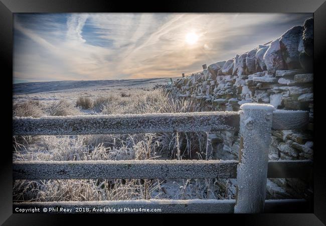 A cold & frosty morning Framed Print by Phil Reay
