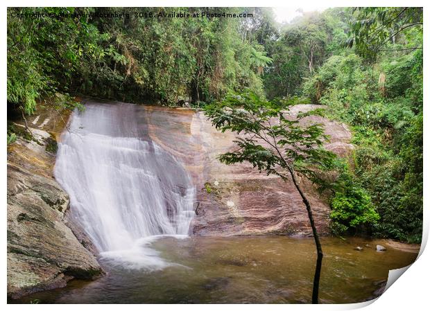 Waterfall in tropical rainforest Print by Alexandre Rotenberg