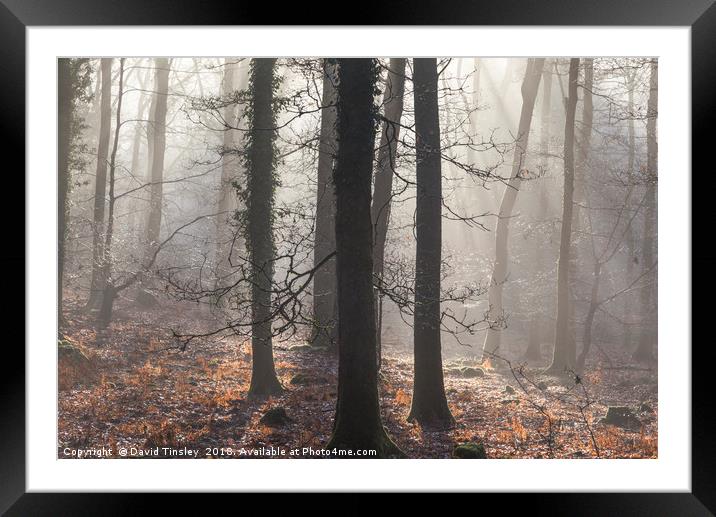 Winter Sun-rays Framed Mounted Print by David Tinsley