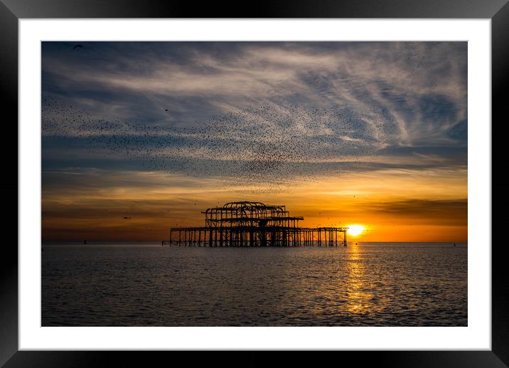 West pier at sunset with murmurations Framed Mounted Print by kevin long