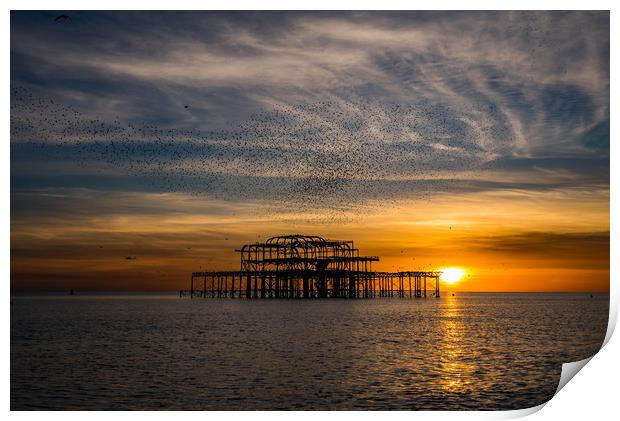 West pier at sunset with murmurations Print by kevin long