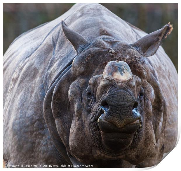 Greater one-horned rhinoceros Print by Jason Wells