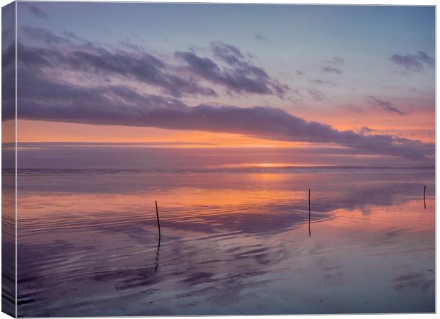 Sunset and the Sticks on Pendine Beach. Canvas Print by Colin Allen