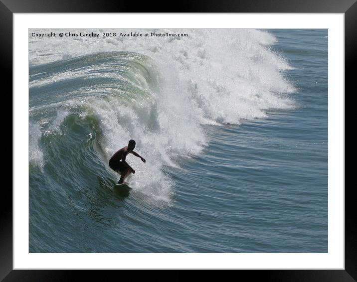 Surf baby, surf. Framed Mounted Print by Chris Langley