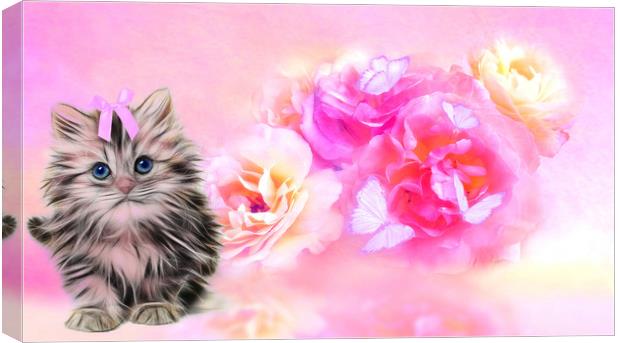 kitty cute Canvas Print by sue davies