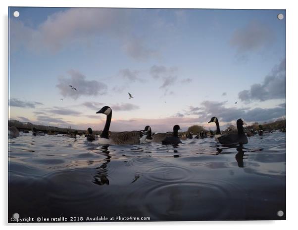 Birds on the water Acrylic by lee retallic