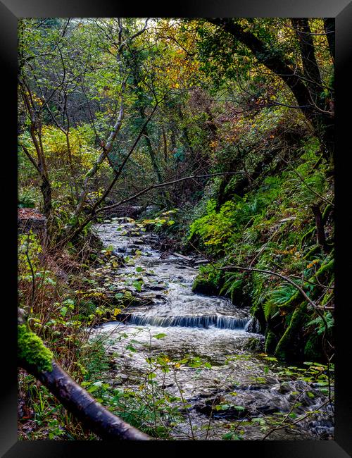 Teifi Valley, Pembrokeshire, Wales, UK Framed Print by Mark Llewellyn