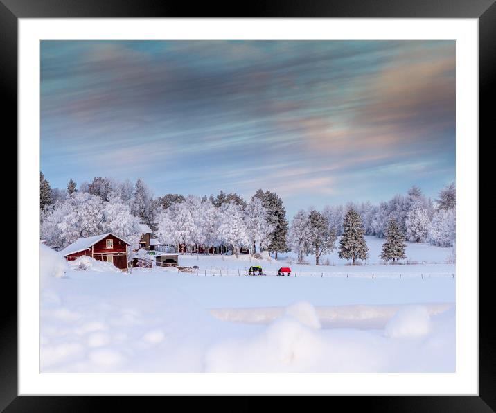 Winter in Sweden Framed Mounted Print by Hamperium Photography
