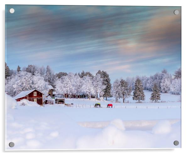 Winter in Sweden Acrylic by Hamperium Photography