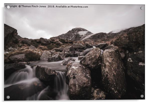 Snowdonia Stream  Acrylic by Thomas Finch-Jones