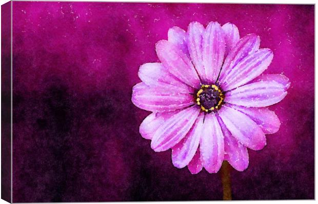 Purple Flower on a deep background, Print Canvas Print by Tanya Hall