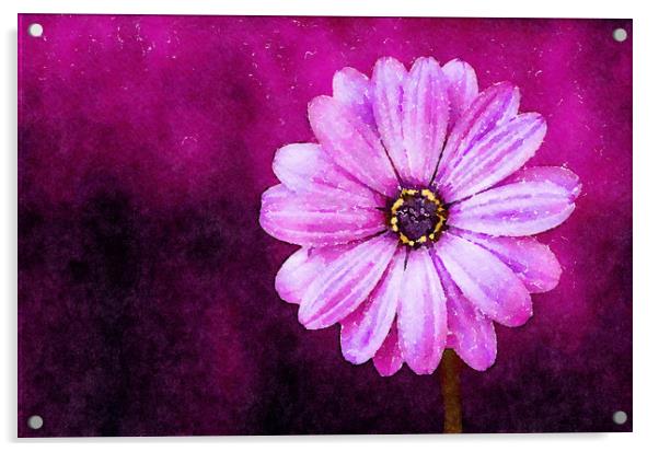 Purple Flower on a deep background, Print Acrylic by Tanya Hall