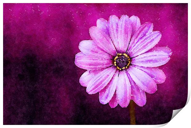 Purple Flower on a deep background, Print Print by Tanya Hall