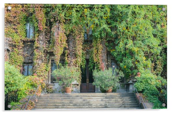 Building entrance covered in overgrown ivy Acrylic by Alexandre Rotenberg