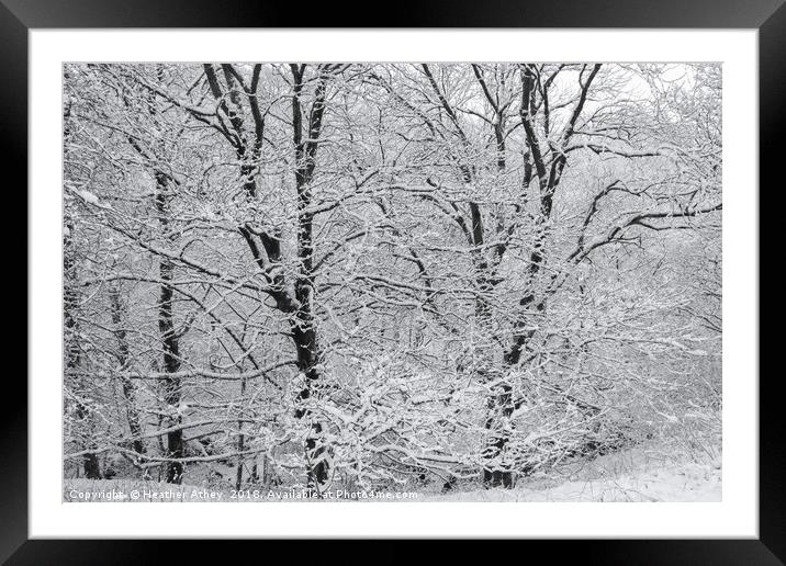 Winter Trees Framed Mounted Print by Heather Athey