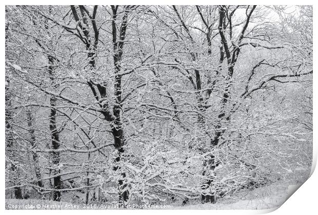 Winter Trees Print by Heather Athey