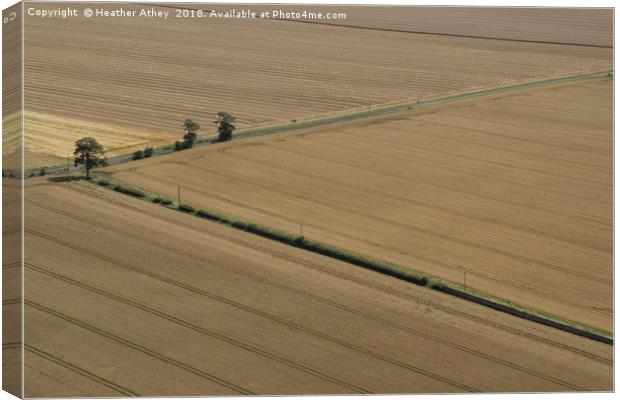 Arable Landscape Canvas Print by Heather Athey