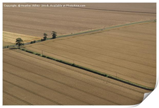 Arable Landscape Print by Heather Athey