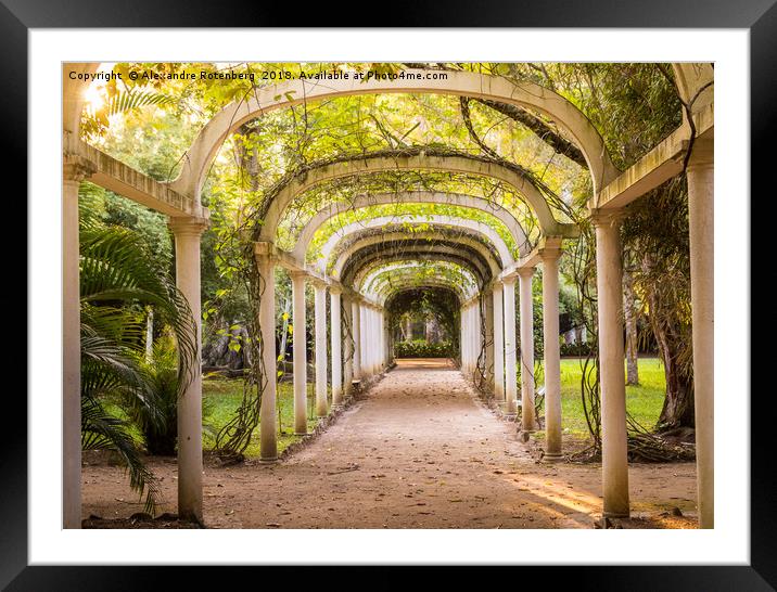 Tropical arches Framed Mounted Print by Alexandre Rotenberg