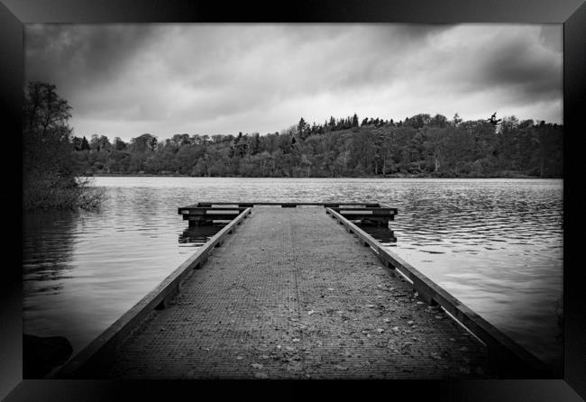 Bolam Lake in Northumberland Framed Print by Phil Page