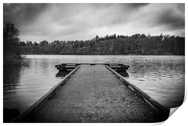 Bolam Lake in Northumberland Print by Phil Page