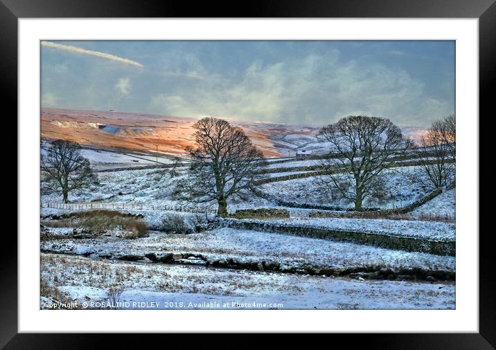 "Evening light across the snow" Framed Mounted Print by ROS RIDLEY