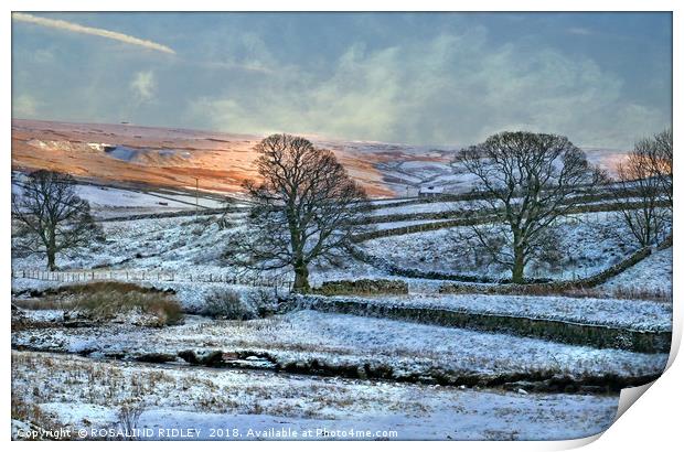 "Evening light across the snow" Print by ROS RIDLEY