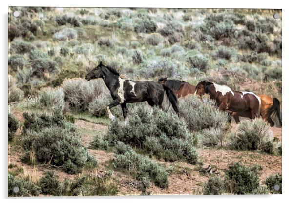 A Day in the Lives of South Steens Wild Horses, No Acrylic by Belinda Greb