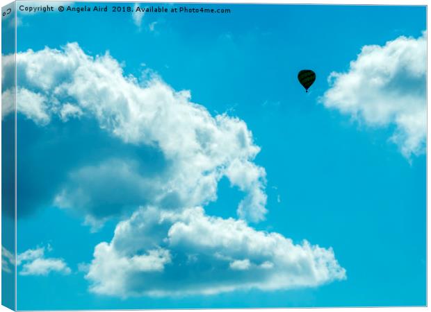 Soaring high. Canvas Print by Angela Aird