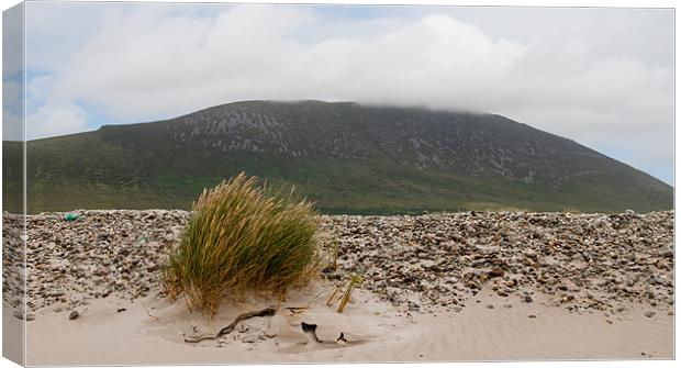 Windswept Achill Canvas Print by Declan Howard