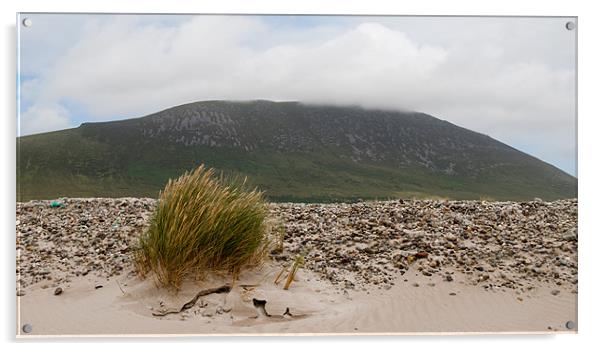 Windswept Achill Acrylic by Declan Howard