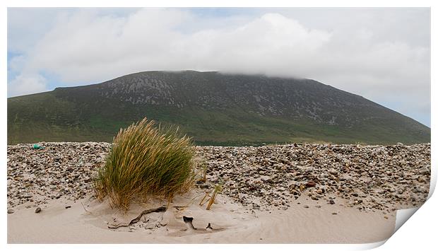Windswept Achill Print by Declan Howard
