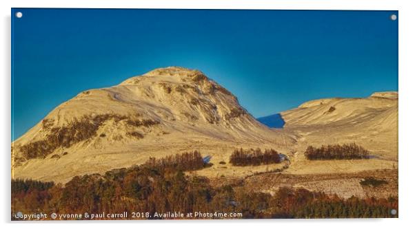 Dumgoyne Hill panorama Acrylic by yvonne & paul carroll