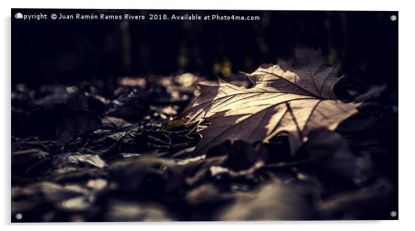 Dry leaf on the ground Acrylic by Juan Ramón Ramos Rivero