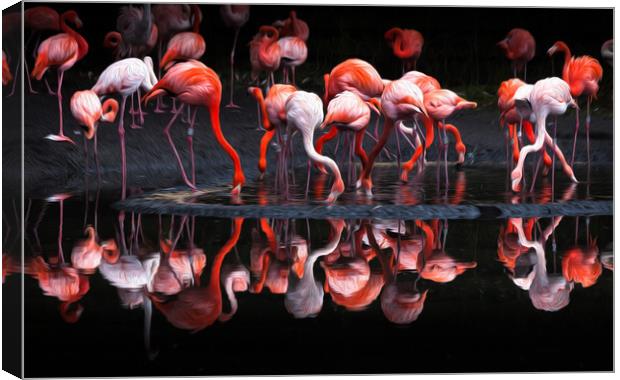 Flamingos using an oil painting filter Canvas Print by Leighton Collins
