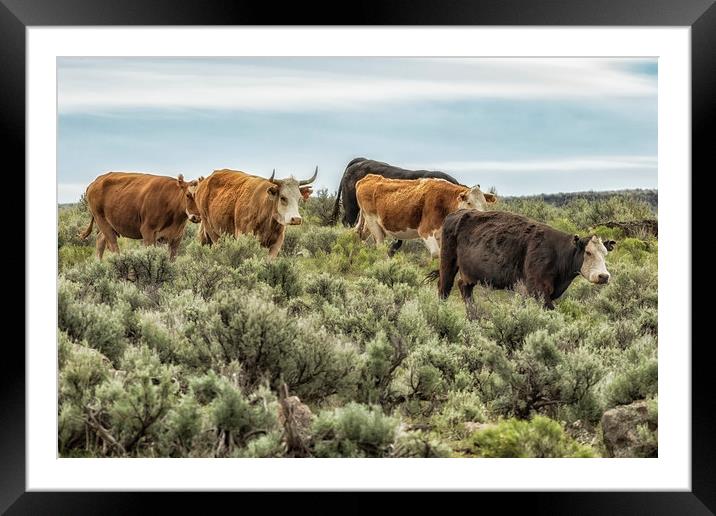 Five Cows Coming Down a Hill Framed Mounted Print by Belinda Greb