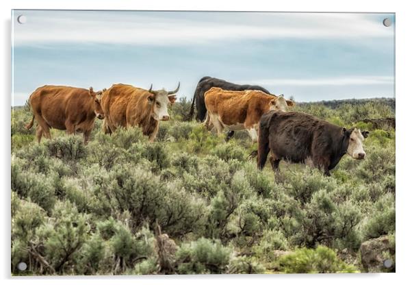 Five Cows Coming Down a Hill Acrylic by Belinda Greb