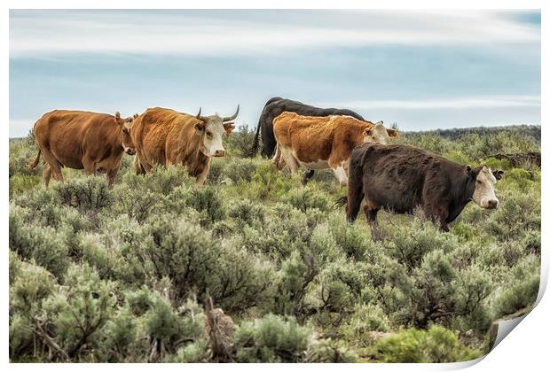 Five Cows Coming Down a Hill Print by Belinda Greb