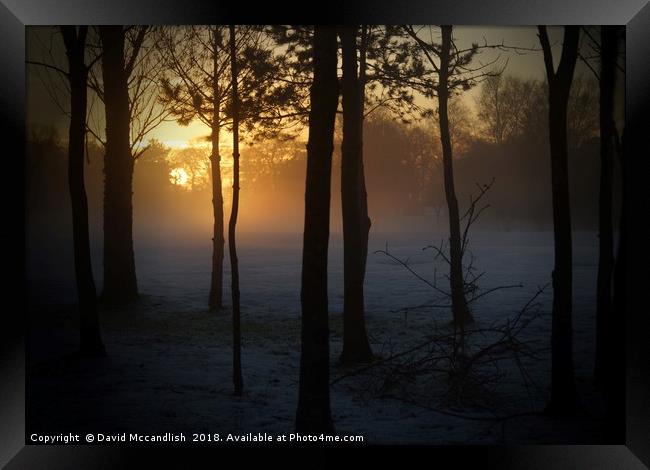 Sun Snow and Fog                                Framed Print by David Mccandlish