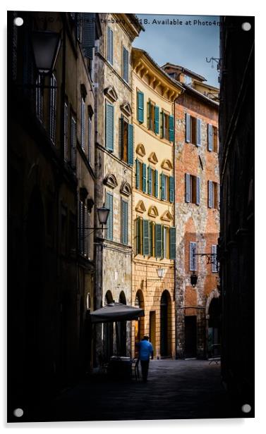 Small street in Siena, Tuscany, Italy Acrylic by Alexandre Rotenberg