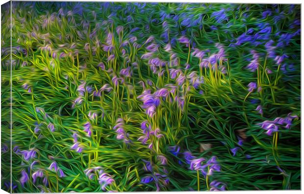 British Bluebells using an oil painting filter Canvas Print by Leighton Collins